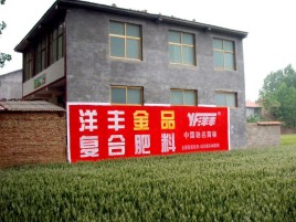 清镇市如何让墙体广告展现最大化效果
