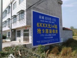 清镇市墙体广告质量分析