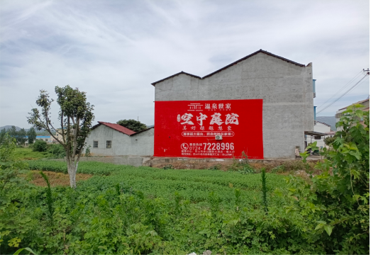 清镇市做墙体广告的意义